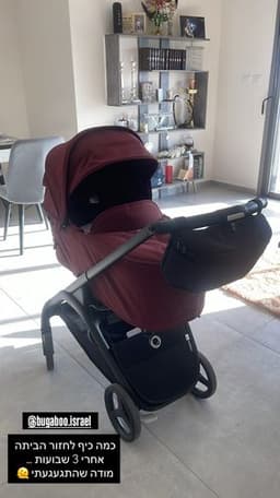 תמונה מחוות הדעת של שרי