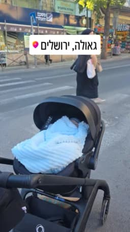 תמונה מחוות הדעת של שרי