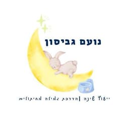 נועם גביסון