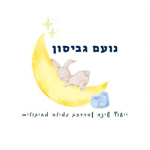 נועם גביסון