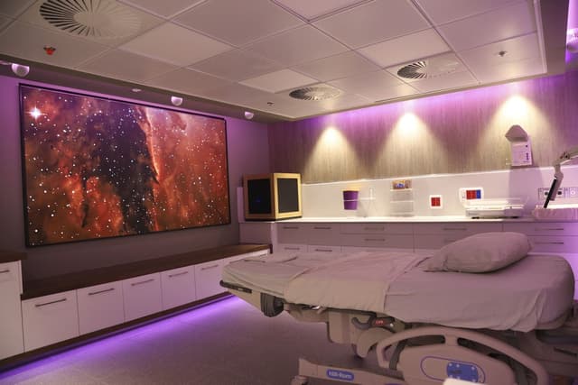 תמונה 4 של המרכז הרפואי שיבא תל השומר