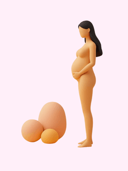 למה קוראים לאפליקציה פורטי ואיך מבטאים את זה?