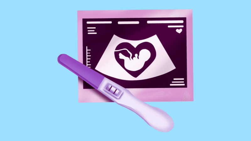 שבוע 1-4 בהריון: המדריך המלא לתחילת המסע