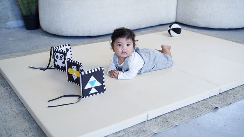 משטח פעילות