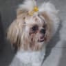 Lilach