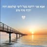 שושילה